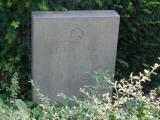 image of grave number 458315